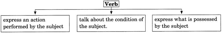Subject Verb Agreement Exercises for Class 6 CBSE With Answers 1