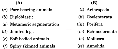 Diversity in Living Organisms Class 9 Extra Questions and Answers Science Chapter 7 img 2
