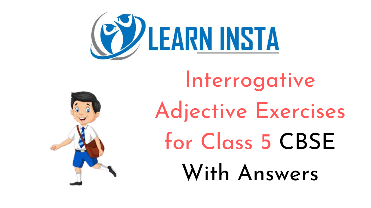 Interrogative Adjective Exercise for Class 5 CBSE with Answers