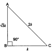 Introduction to Trigonometry Class 10 Extra Questions Maths Chapter 8 with Solutions Answers 48.