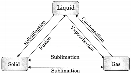 Matter in Our Surroundings Class 9 Extra Questions and Answers Science Chapter 1 img 1