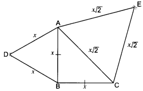 Triangles Class 10 Extra Questions Maths Chapter 6 with Solutions Answers 49