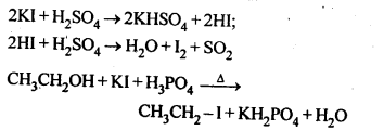 NCERT Solutions for Class 12 Chemistry Chapter 11 Alcohols, Phenols and Ehers tq 2