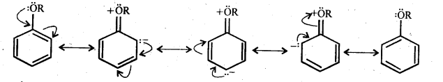 NCERT Solutions for Class 12 Chemistry Chapter 12 Aldehydes, Ketones and Carboxylic Acids t72