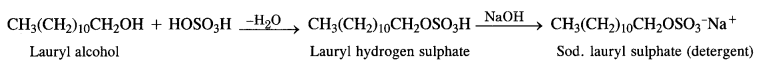 NCERT Solutions for Class 12 Chemistry Chapter 16 Chemistry in Every Day Life t10