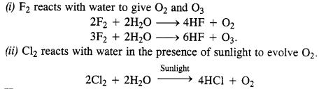 NCERT Solutions for Class 12 Chemistry Chapter 7 The p-Block Elements 34