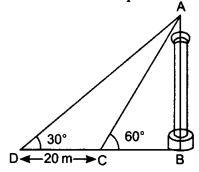 NCERT Solutions for Class 10 Maths Chapter 9 Some Applications of Trigonometry Ex 9.1 14