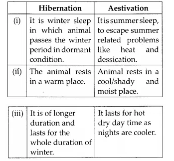 NCERT Solutions for Class 12 Biology Chapter 13 Organisms and Populations Q10.1