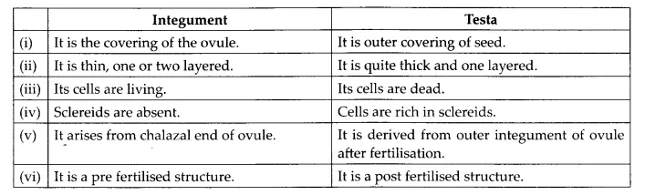 NCERT Solutions for Class 12 Biology Chapter 2 Sexual Reproduction in Flowering Plants Q13.3