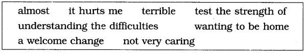 NCERT Solutions for Class 6 English Honeysuckle Chapter 5 A Different Kind of School image 1