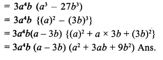 RS Aggarwal Class 9 Solutions Chapter 2 Polynomials Ex 2J 24