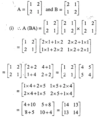 Selina Concise Mathematics Class 10 ICSE Solutions Chapter 9 Matrices Ex 9D Q8.2
