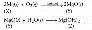 Chemical Reactions and Equations Class 10 Important Questions Science Chapter 1 image - 20