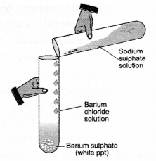 Chemical Reactions and Equations Class 10 Important Questions Science Chapter 1 image - 26