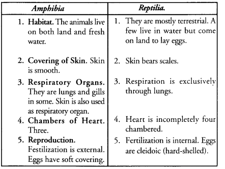 Diversity in Living Organisms Class 9 Important Questions Science Chapter 7 image - 23