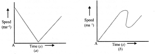 Motion Class 9 Important Questions Science Chapter 8 image - 13