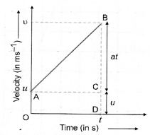 Motion Class 9 Important Questions Science Chapter 8 image - 23