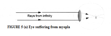 NCERT Exemplar Solutions for Class 10 Science Chapter 11 Human Eye and Colourful World image - 3