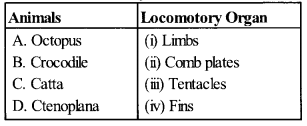 NCERT Exemplar Solutions for Class 11 Biology Chapter 4 Animal Kingdom 1.1