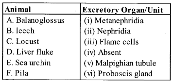 NCERT Exemplar Solutions for Class 11 Biology Chapter 4 Animal Kingdom 1.6