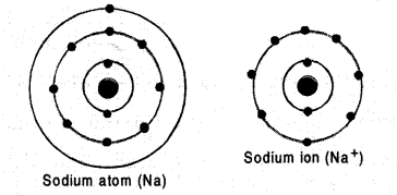 NCERT Exemplar Solutions for Class 9 Science Chapter 4 Structure of the Atom image - 11