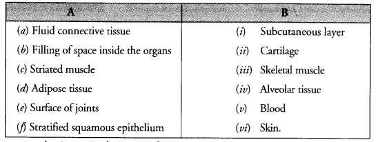 NCERT Exemplar Solutions for Class 9 Science Chapter 6 Tissues image - 1