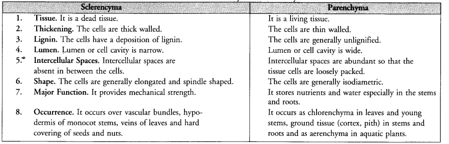 NCERT Exemplar Solutions for Class 9 Science Chapter 6 Tissues image - 8