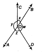NCERT Solutions for Class 9 Maths Chapter 4 Lines and Angles Ex 4.1 img 4