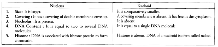 The Fundamental Unit of Life Class 9 Important Questions Science Chapter 5 image - 11