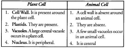 The Fundamental Unit of Life Class 9 Important Questions Science Chapter 5 image - 2