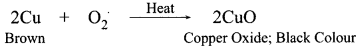 CBSE Sample Papers for Class 10 Science Set 3 with Solutions 10