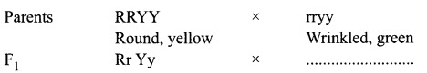 CBSE Sample Papers for Class 10 Science Set 3 with Solutions 12