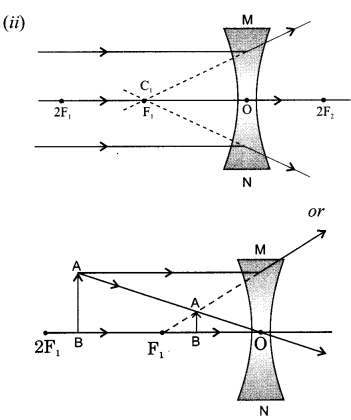 CBSE Sample Papers for Class 10 Science Set 3 with Solutions 18