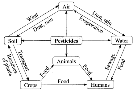 CBSE Sample Papers for Class 10 Science Set 3 with Solutions 2