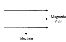 CBSE Sample Papers for Class 10 Science Set 4 for Practice 10