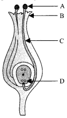 CBSE Sample Papers for Class 10 Science Set 4 for Practice 12