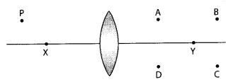 CBSE Sample Papers for Class 10 Science Set 4 for Practice 2