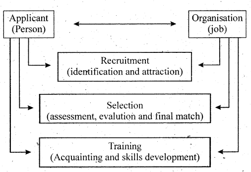 Class 12 Business Studies Important Questions Chapter 6 Staffing 1