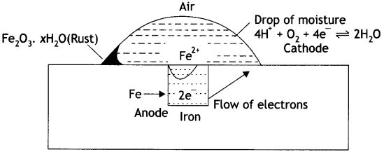 Class 12 Chemistry Important Questions Chapter 3 Electrochemistry 14