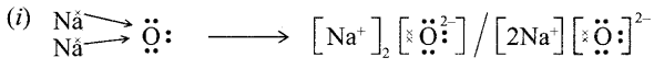 Sample Paper Class 10 Science Set 1.12