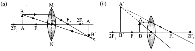 Sample Paper Class 10 Science Set 1.14