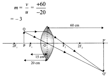 Sample Paper Class 10 Science Set 1.15