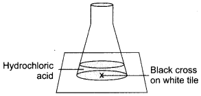 Sample Paper Class 10 Science Set 1.6