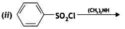 Class 12 Chemistry Important Questions Chapter 13 Amines 108