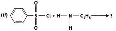 Class 12 Chemistry Important Questions Chapter 13 Amines 56