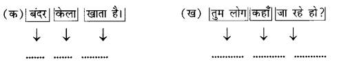 Class 6 Sanskrit Grammar Book Solutions अनुवाद विधिः 3