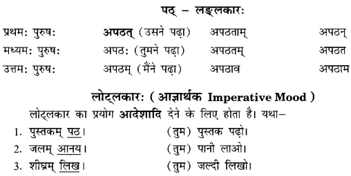 Class 6 Sanskrit Grammar Book Solutions क्रियापदानि तथा धातुरूपाणि 13