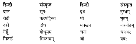 Class 6 Sanskrit Grammar Book Solutions व्यावहारिक शब्दकोश 3