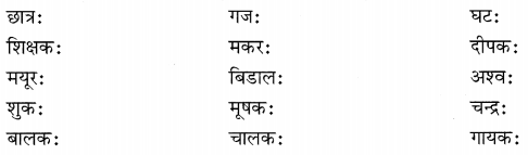 NCERT Solutions for Class 6 Sanskrit Chapter 1 शब्द परिचयः 1.1