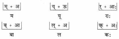 NCERT Solutions for Class 6 Sanskrit Chapter 1 शब्द परिचयः 1.6